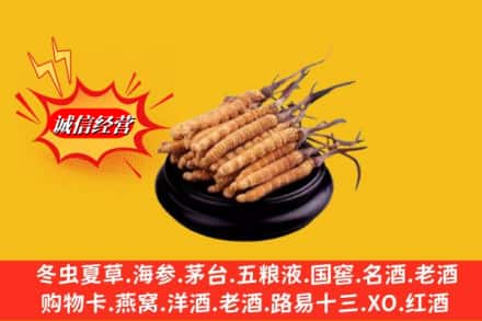 赣州上犹县名酒回收冬虫夏草.jpg